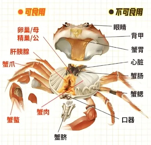 d8dbb560b0b84e898f0ad5c48e306435.png